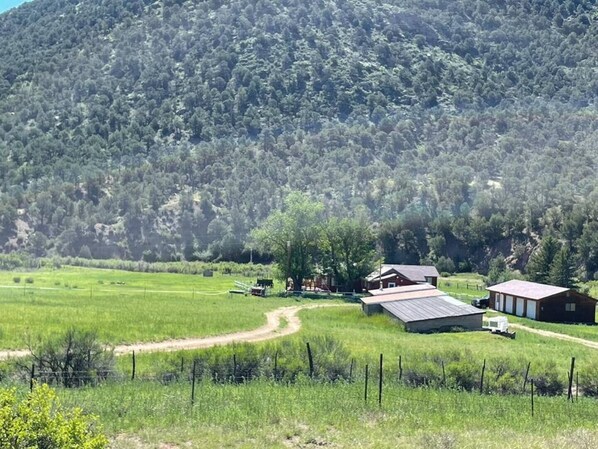 Welcome to Colorado!  Room to Roam!