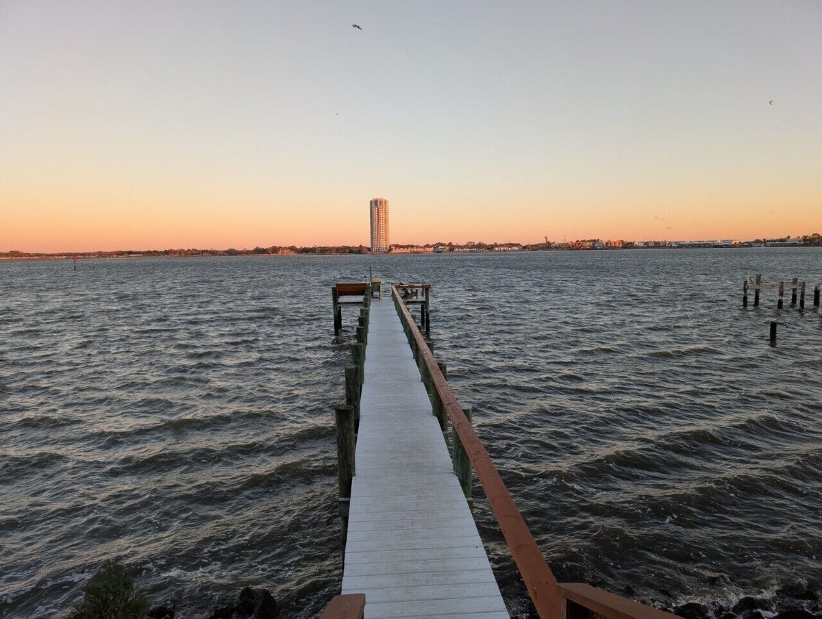 Imagen de perfil del propietario o de la propietaria