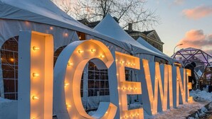 Un cartel iluminado de gran tamaño que dice "ICEWINE" frente a una estructura con toldo.