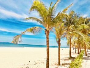 A beach with palm trees and a clear sky.