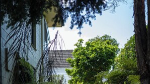 Ein Garten mit Rasen, Bäumen und einem Haus.