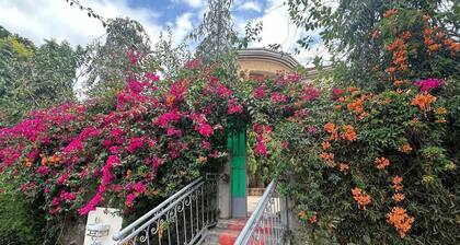 Ahaka cottages
