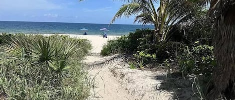 On the beach
