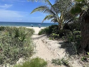 A sandy path leading to a beach with palm trees and a clear blue sky.