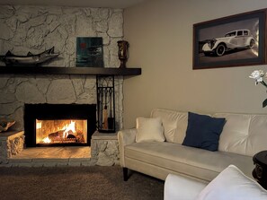 Smart TV, fireplace, video games, DVD player