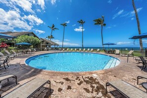 Piscina circular con sillas de descanso y sombrillas, rodeada de palmeras y un edificio con vista a la playa.