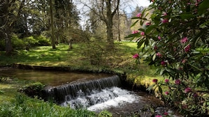 A small waterfall in a lush, green forest setting.