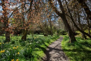 A forest path surrounded by trees with autumn leaves and a variety of flowers. - Stables Cottage, Kailzie - sleeping 2 guests in one bedroom (Peebles)