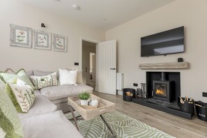 TV, fireplace - Honeysuckle Cottage - sleeping 4 guests in 2 bedrooms (Peebles)