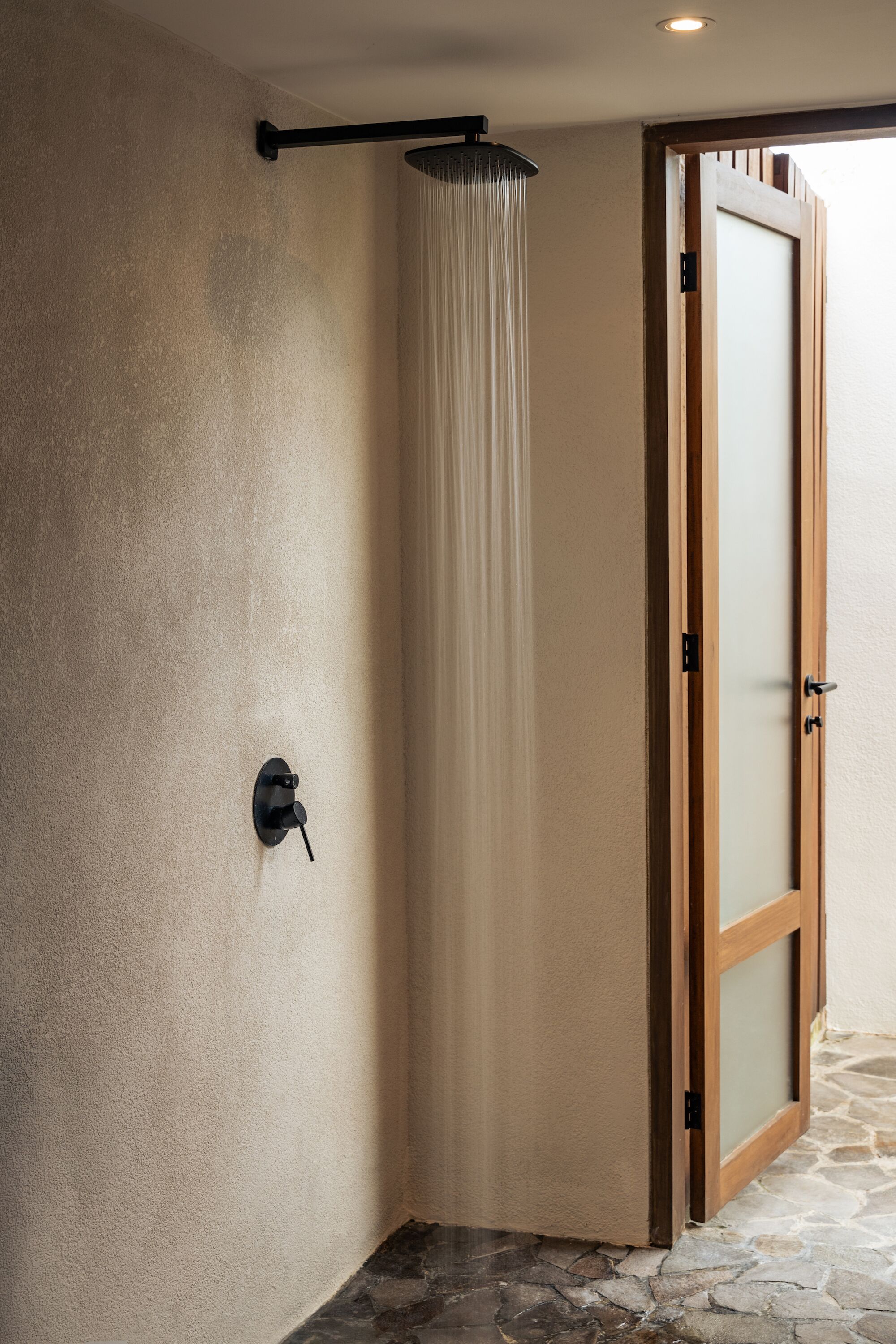 A shower area with a curtain, a wall-mounted showerhead, and a wooden door with glass panels.