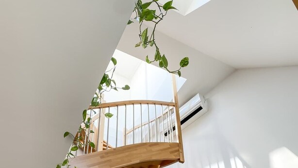 A spiral staircase with wooden railings and a plant hanging from the top. - DREAM 360° City Skyline Rooftop Terrace & Balcony (Wien)
