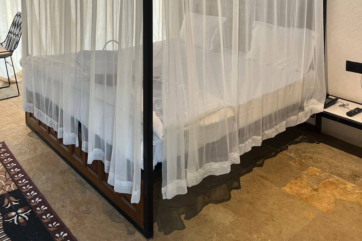 A four-poster bed with a white canopy, a ceiling fan, and a patterned rug.