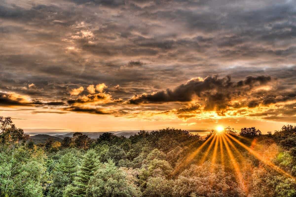 A landscape with a sunset, trees, and a distant horizon.