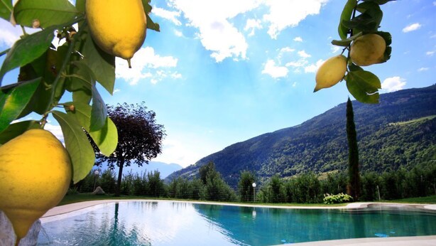 A swimming pool with a mountain backdrop, surrounded by greenery and trees.