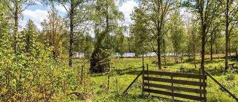 A wooden fence in a grassy area with trees and a body of water in the background.