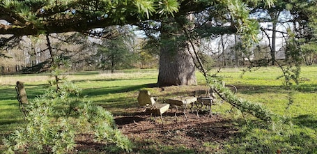 Property grounds. Apart, closed parking, terace, near walking wood, accessible for disabled people