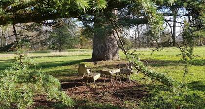 Apart, closed parking, terace, near walking wood, accessible for disabled people