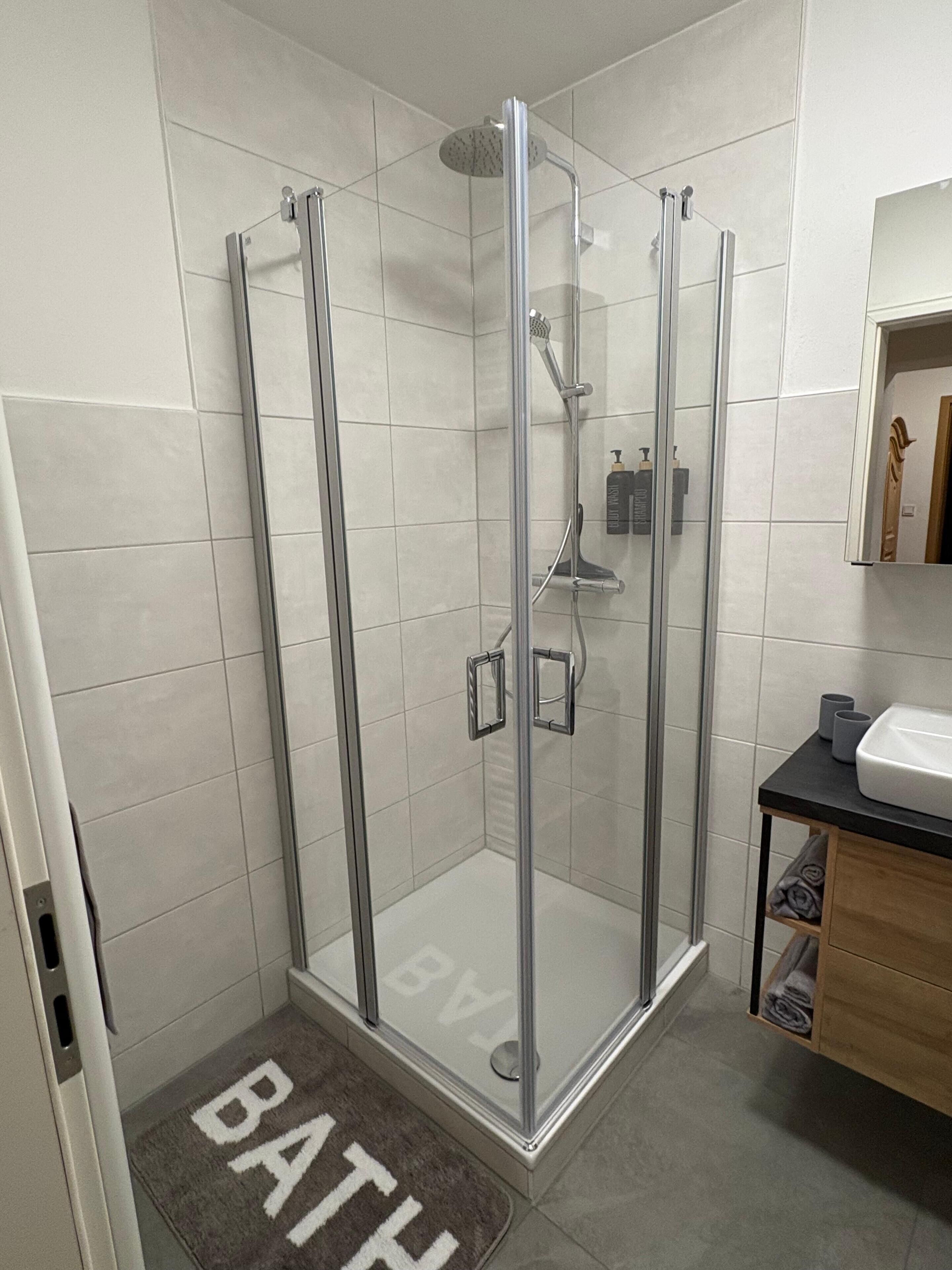 Shower, hair dryer, towels