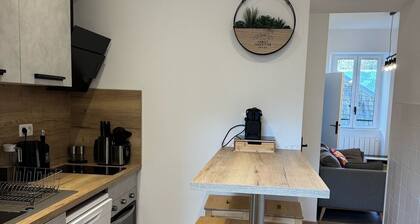 Escapade savoyarde : Appartement moderne au Coeur de Chambéry