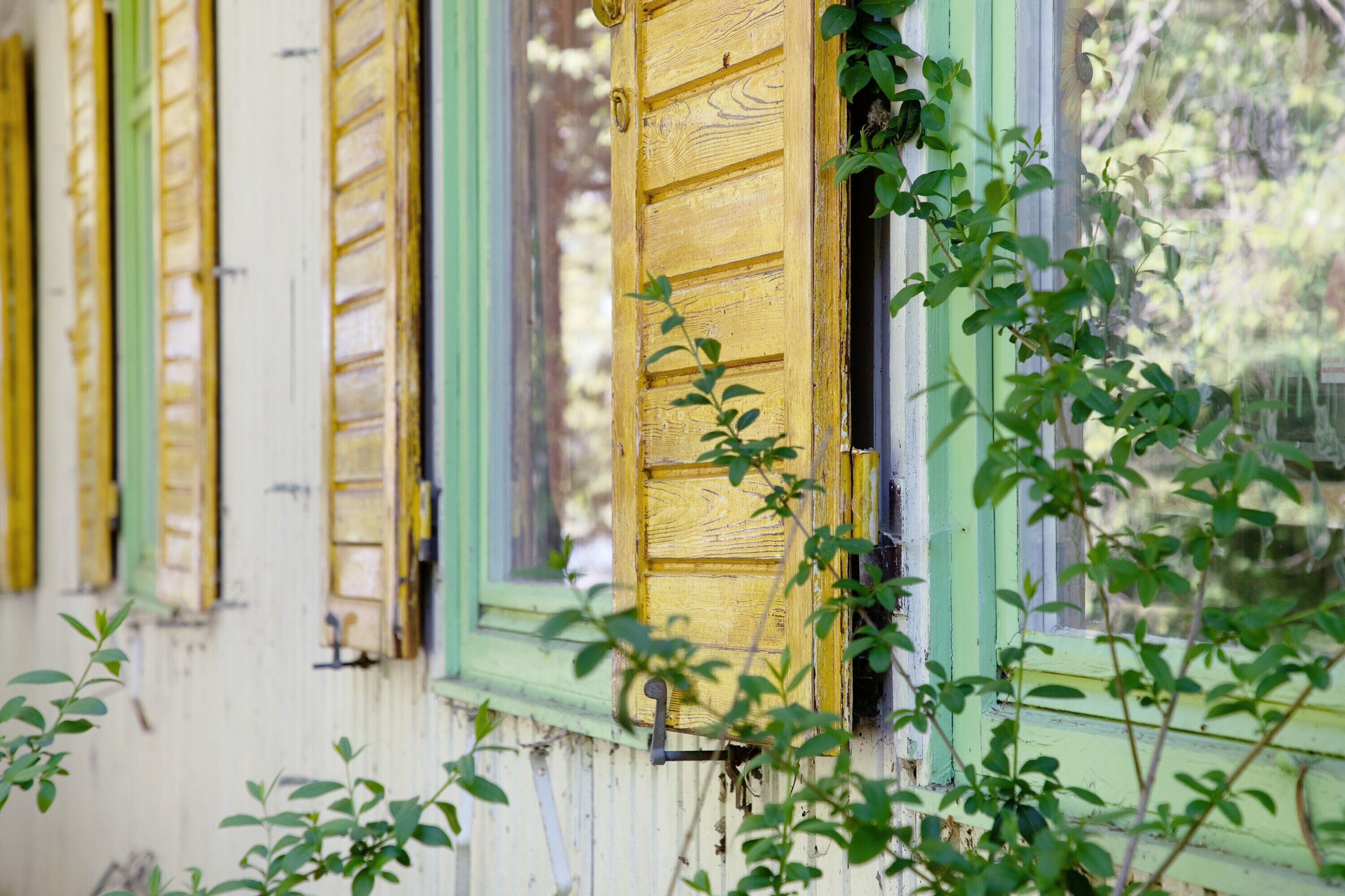 A building with a wooden door and window shutters, surrounded by greenery.