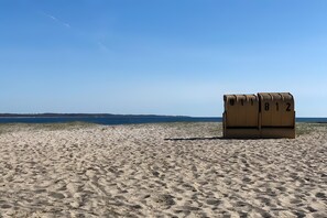 A beach with a row of numbered beach chairs.