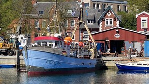 Ein blaues Fischerboot liegt im Hafen, im Hintergrund sind Gebäude zu sehen.