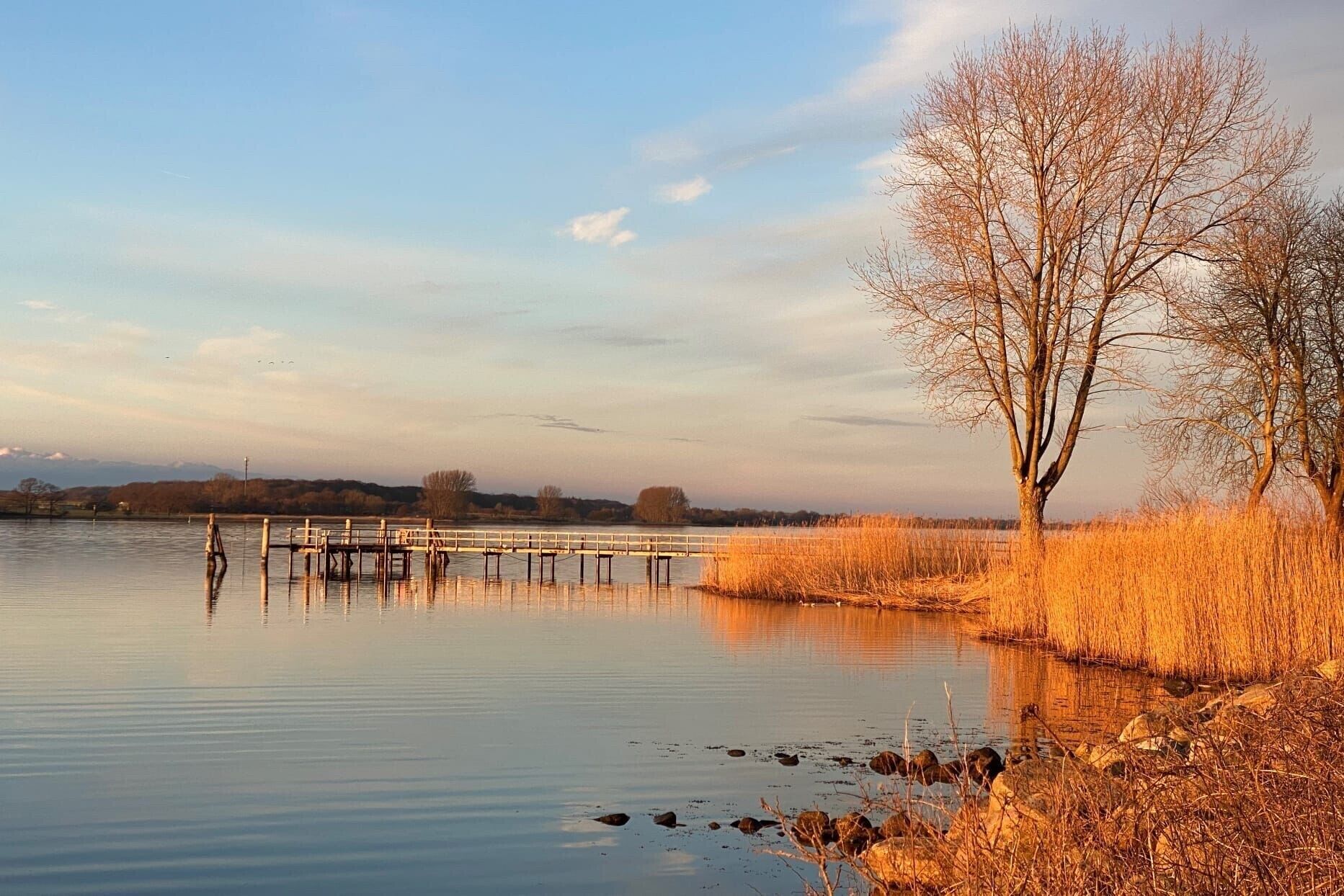 Un lac paisible, avec une jetée en bois qui s’avance sur l’eau, entouré d’herbes sèches et d’un arbre sans feuilles.