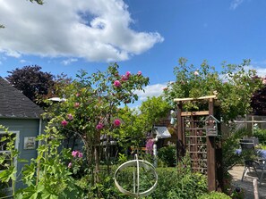 A garden with a pergola, a hanging metal ring, and a wooden fence.