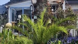 Ein Haus mit Satellitenschüssel, einem großen Kübelpflanzen und einem Garten mit verschiedenen Pflanzen und Blumen.