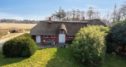 Cozy holiday apartment on Rømø