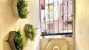 Une petite pièce agréable, avec une fenêtre, un panier en osier et deux plantes en pot accrochées au mur.