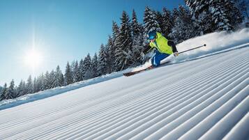 A person skiing down a snow-covered slope with trees in the background.