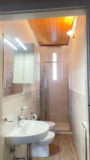 Shower, hair dryer, bidet, towels - Between the Apuan Alps and the sea spacious and bright house with sea view (Capanne-Prato-Cinquale)