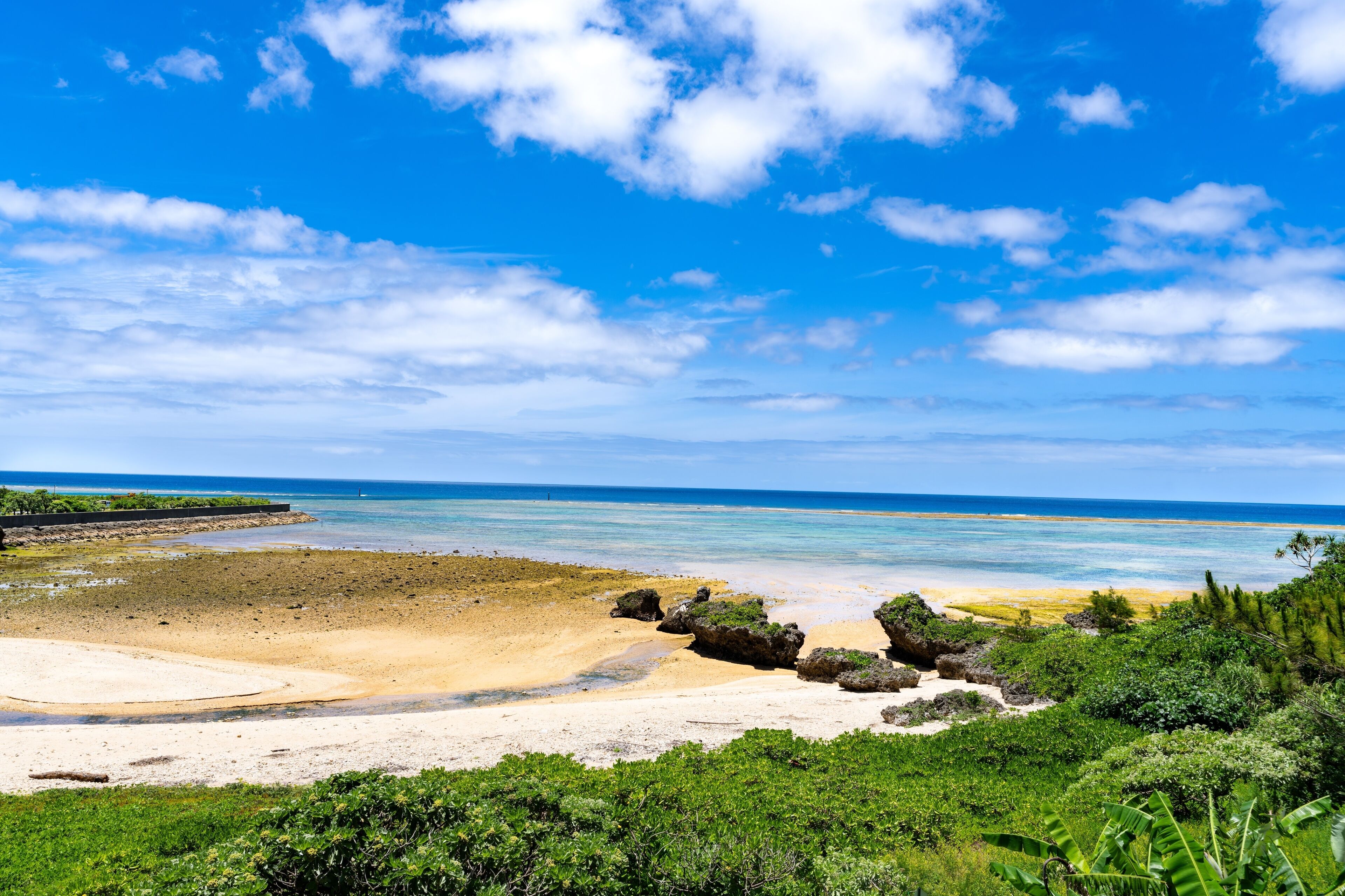 テラス / パティオ