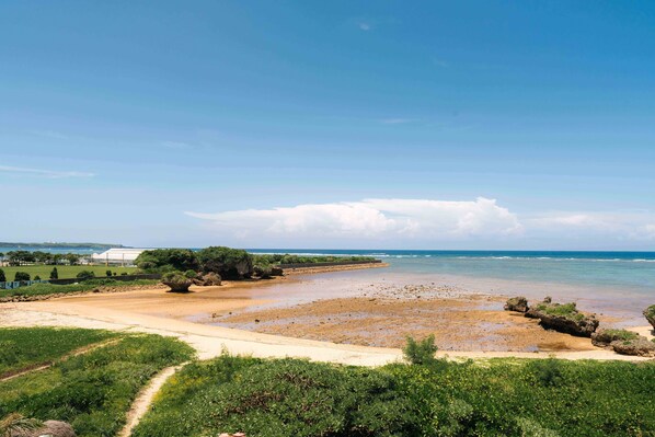 Suite Confort, vue sur la plage (loveA) | Terrasse/patio