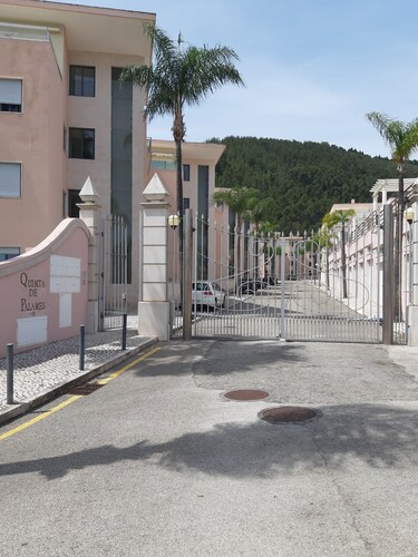 Palames on the Beach