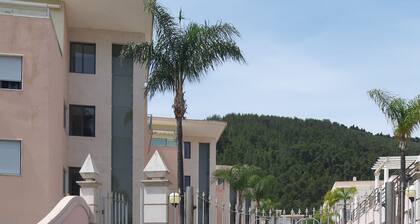 Palames on the Beach