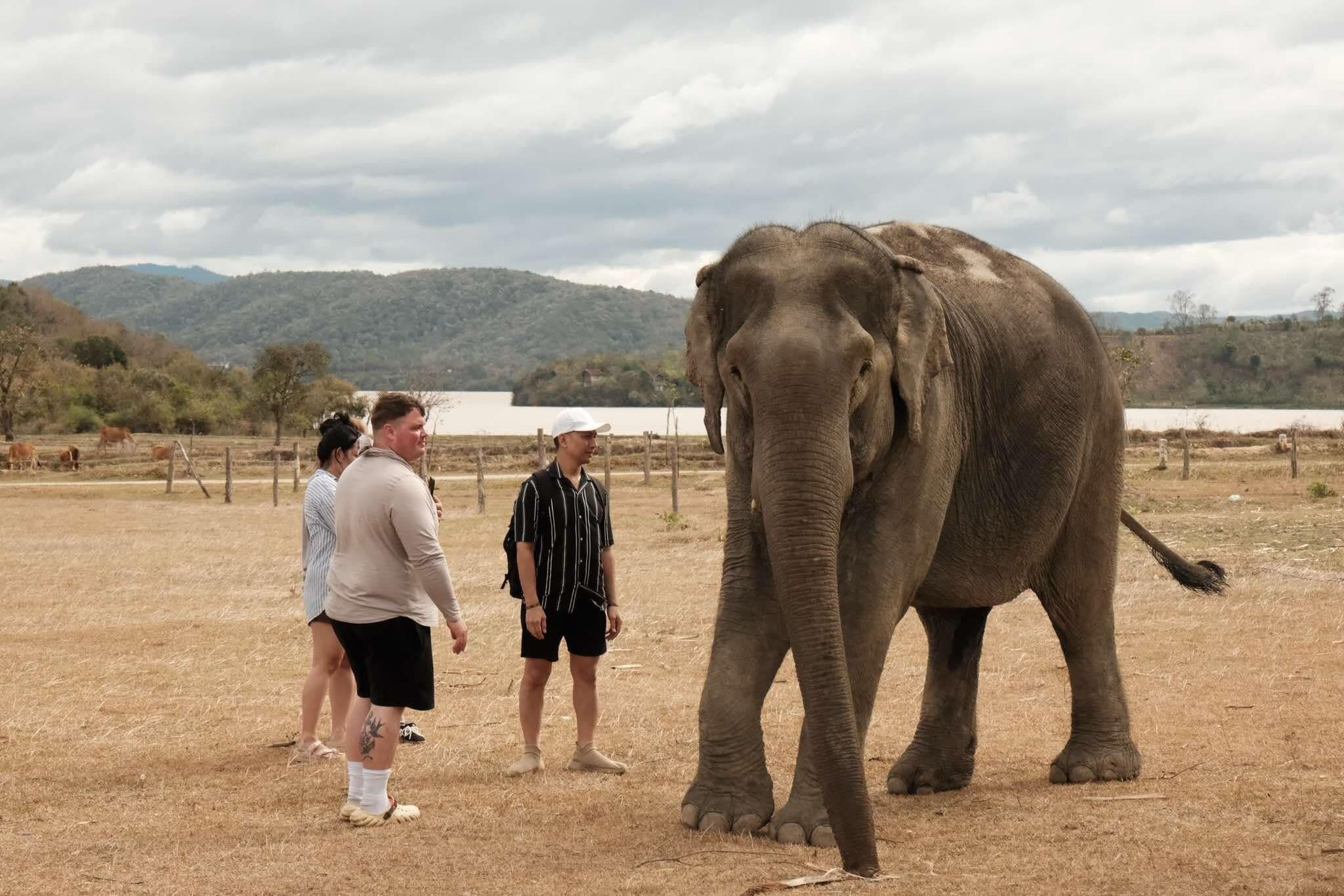 A group of people standing in a dry, open field with a large elephant in the foreground.