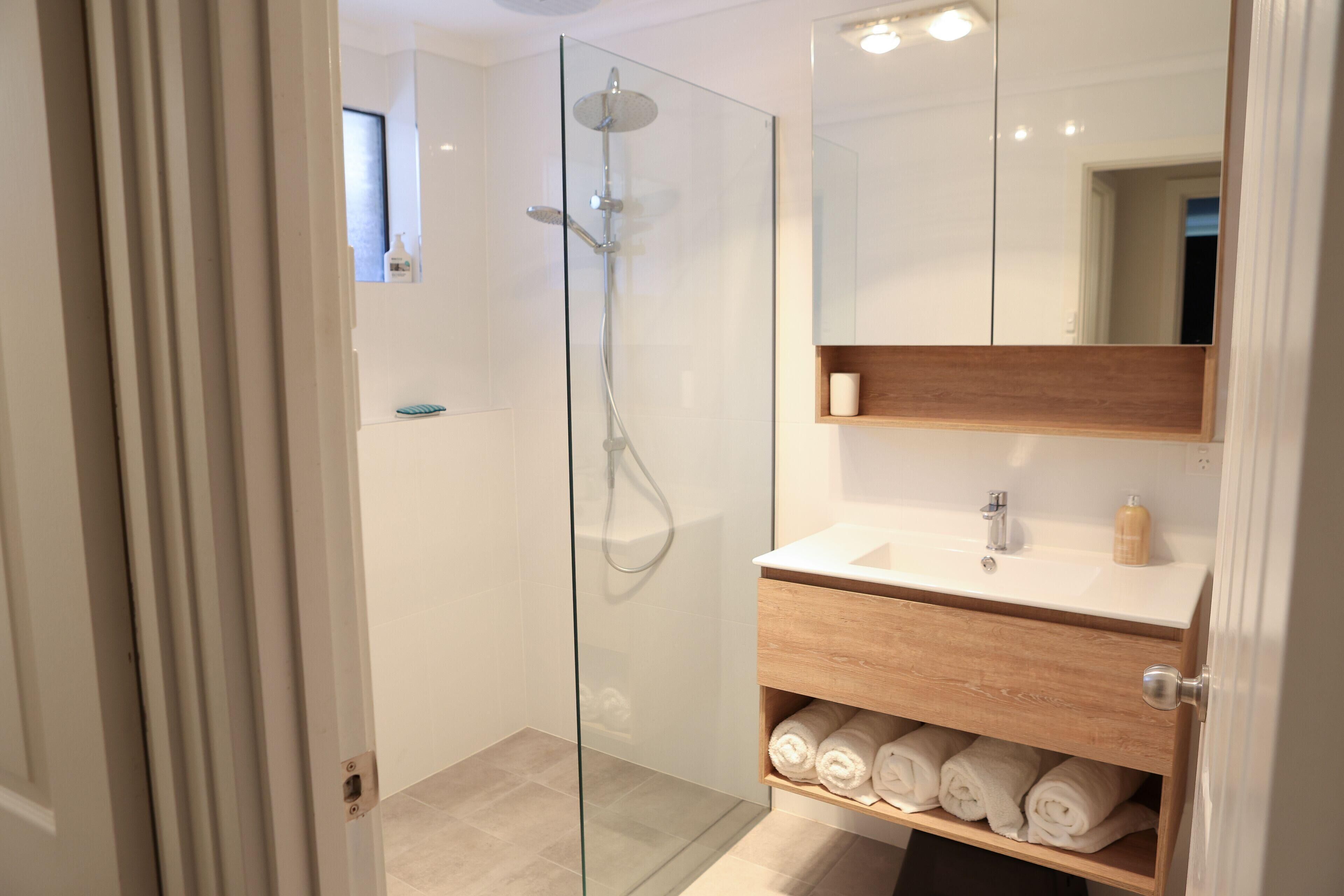 Shower, hair dryer, towels