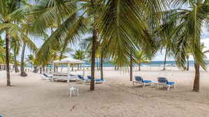 Une plage bordée de palmiers, avec des parasols blancs et des chaises longues bleues.