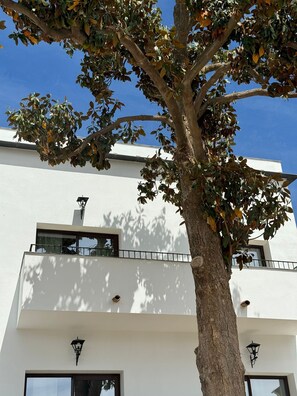 واجهة المنشأة