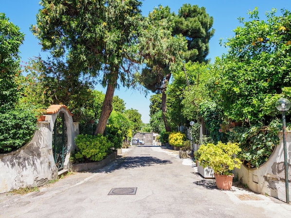 A paved street flanked by lush greenery, a stone wall, and a metal gate.