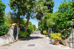 A paved pathway leading to a gated entrance surrounded by lush greenery and trees.