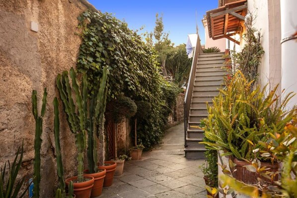 A narrow alleyway with potted cacti and ferns, a staircase, and a building with a textured wall.