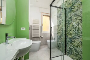 Shower, hair dryer, bidet, towels