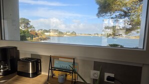 Une cuisine avec vue sur un lac, un grille-pain, une machine à café et une plante.