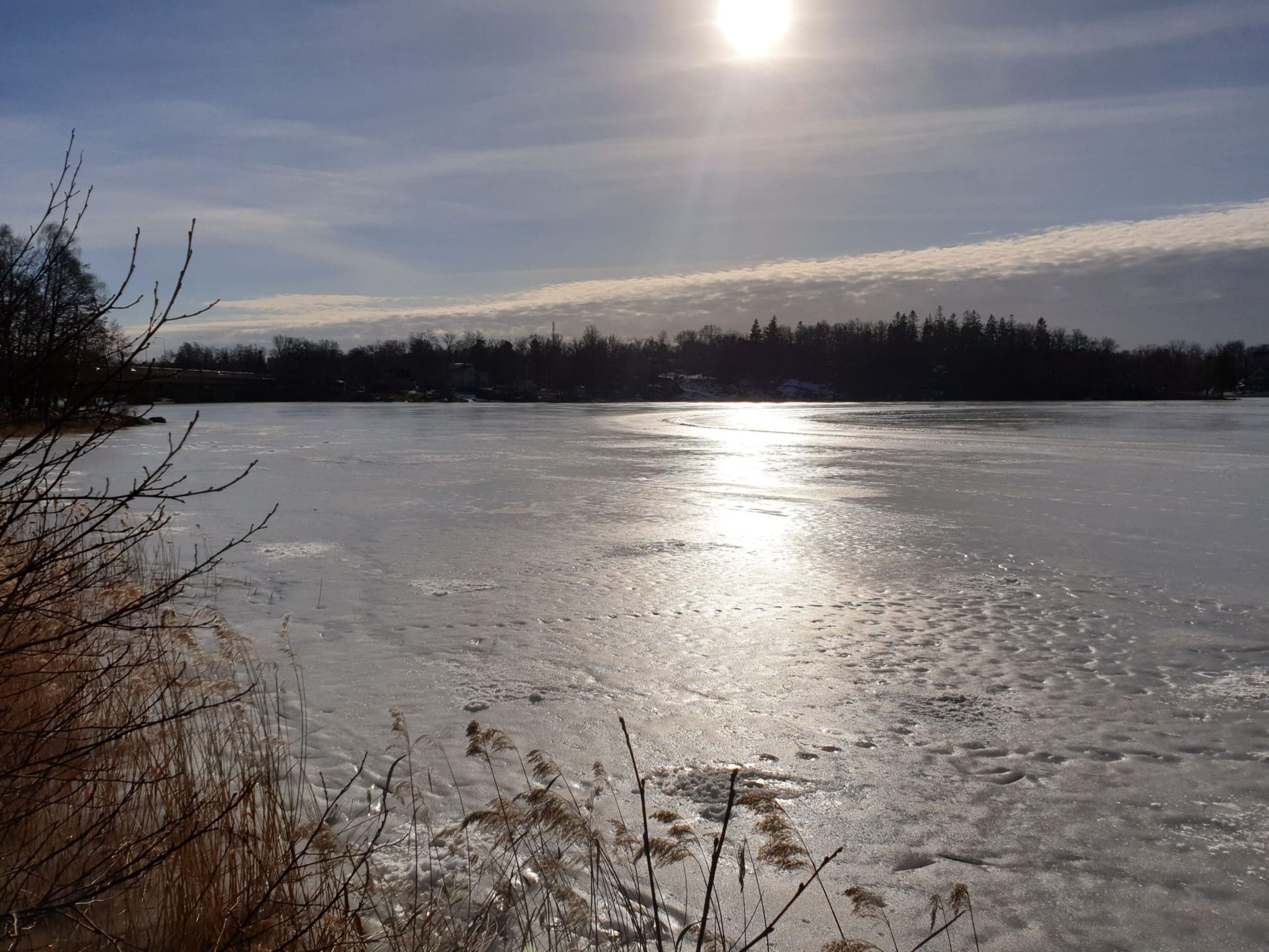 A frozen lake with the sun reflecting on the surface, surrounded by trees and some buildings in the distance.
