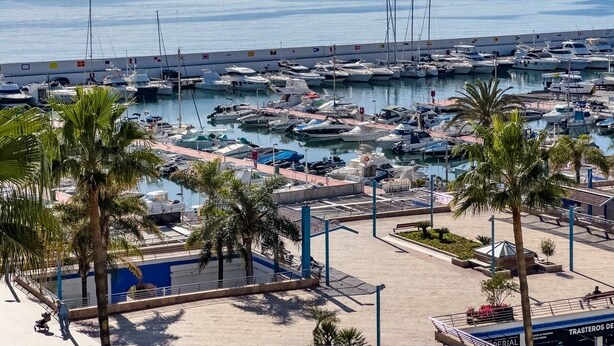 Un port de plaisance où sont amarrés de nombreux bateaux, avec des palmiers et une vue dégagée sur la mer.