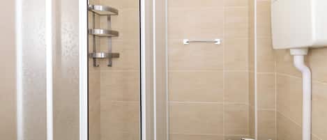 A shower area with a glass door, a toilet, and a towel rack.