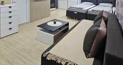 Charming 1-bedroom apartment with AC, WiFi in fabulous ZajeÄar